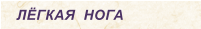 ЛЁГКАЯ  НОГА