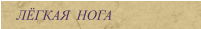 ЛЁГКАЯ  НОГА