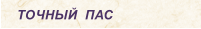 ТОЧНЫЙ  ПАС