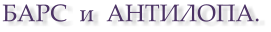 БАРС  и  АНТИЛОПА.